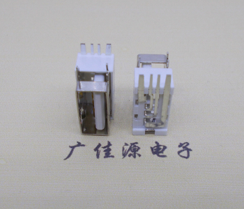 茶山镇USB侧立式短体10.0尺寸 侧插加宽脚5A大电流插座
