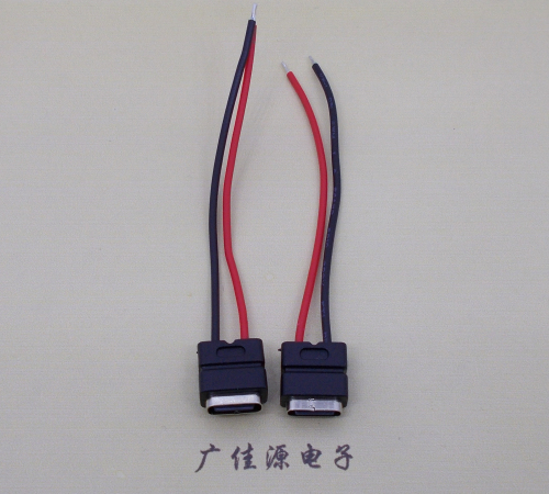 茶山镇type c2p防水母座焊线式带线注塑成型带接线端子/不带接线端子充电连接器
